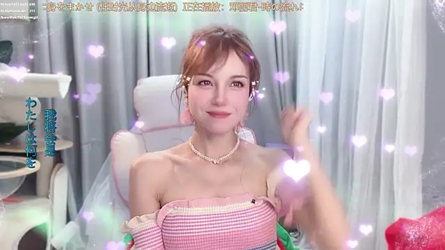hi-AnAn webcam