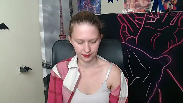 StellaCRL webcam
