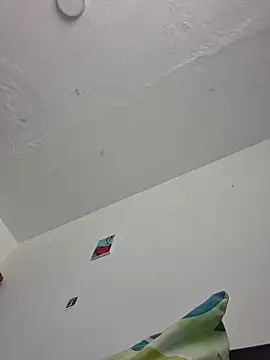 IrisBound webcam