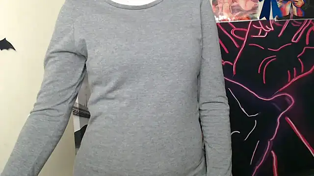 StellaCRL webcam