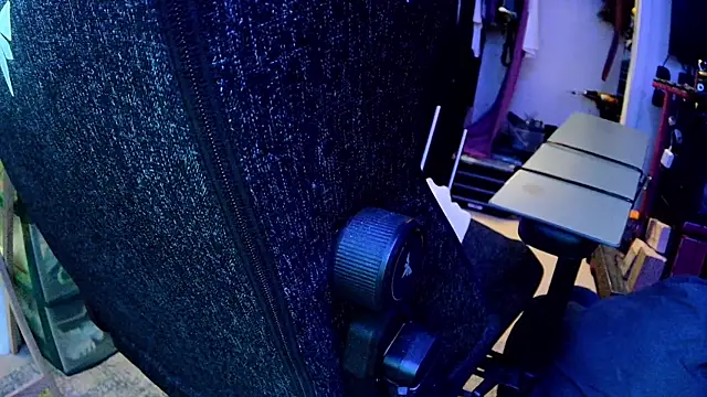 famousALYX webcam