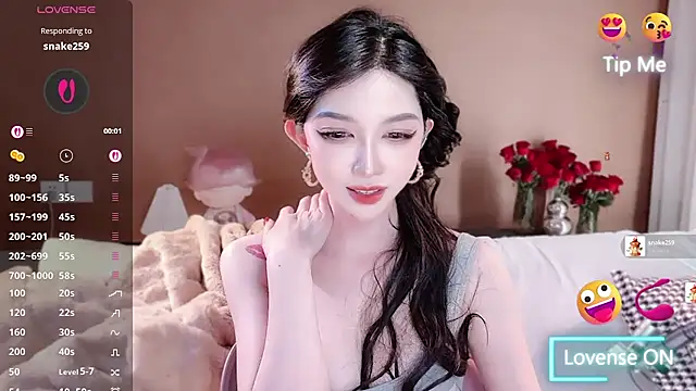 vyizh- webcam