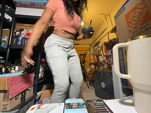 wynterheat webcam