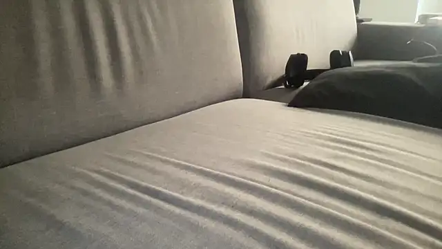 raoulbtnbois webcam