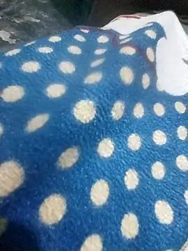 heena7348 webcam