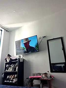 IrisBound webcam