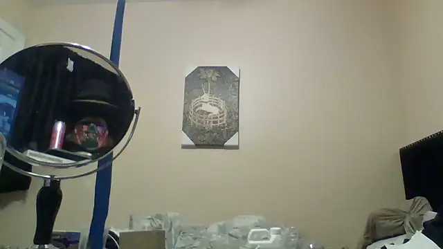 hailzeffn webcam