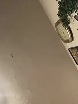 Frosl webcam