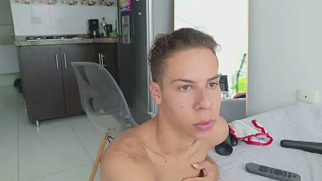 grey___27 webcam