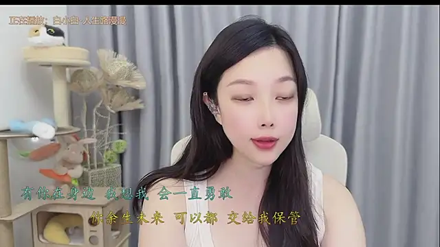 facai-feifei webcam