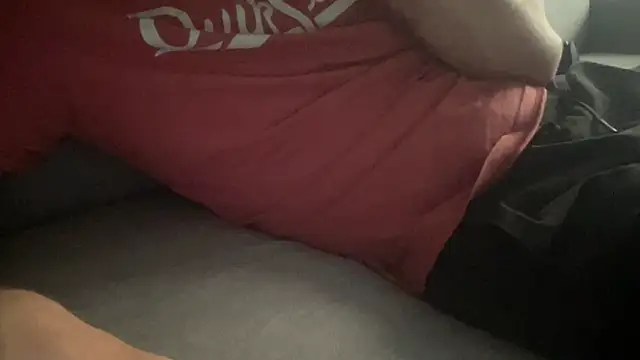 raoulbtnbois webcam