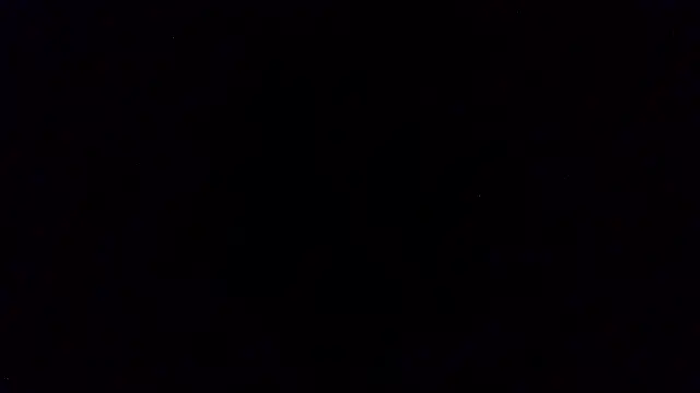 pinkycat webcam