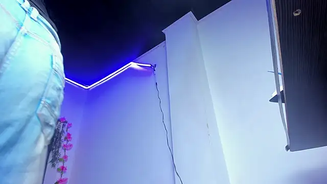 Valentina_js webcam