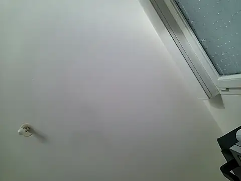 Olifesse webcam
