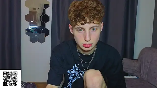 crispinver webcam