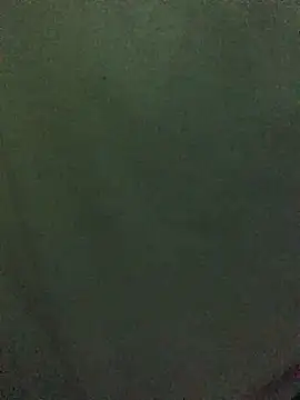 ss1343 webcam