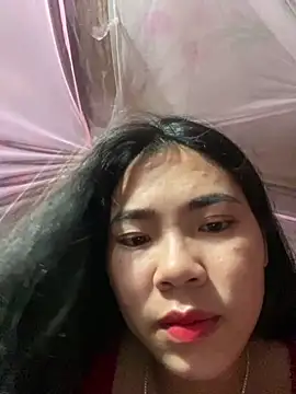 Nul_chal webcam