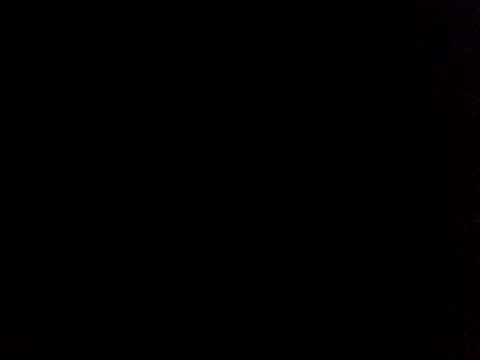 Shadiwa_Smith31 webcam