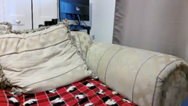 willywet webcam