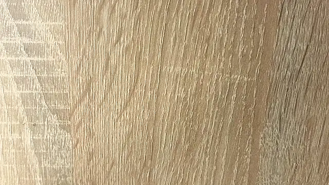 NoFace_Model webcam