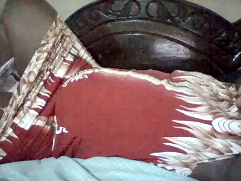 missarpie webcam