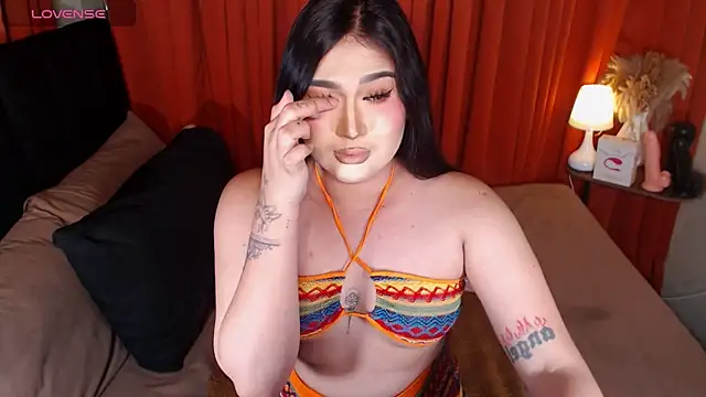 PereyLierge webcam