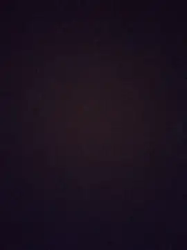 Biknight live sex cam