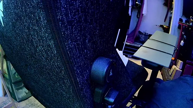 famousALYX webcam