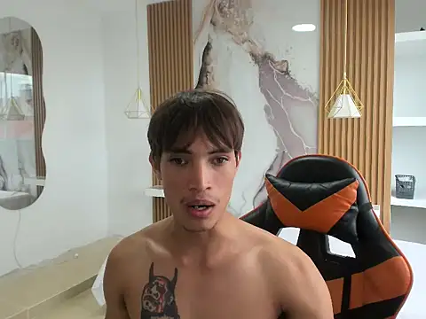 kenshi_roa webcam