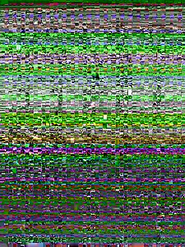 RoberFils webcam
