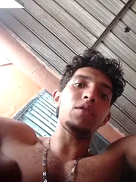 Noscay webcam
