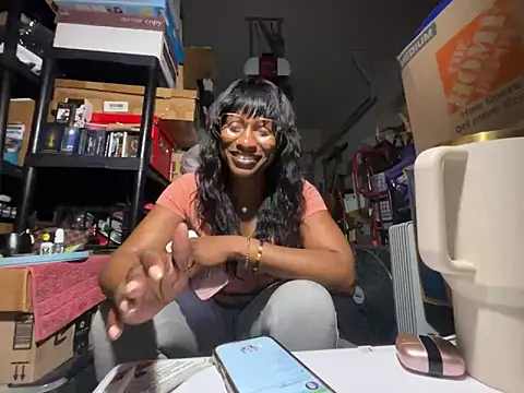 wynterheat webcam