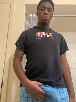 ThickDic28 webcam