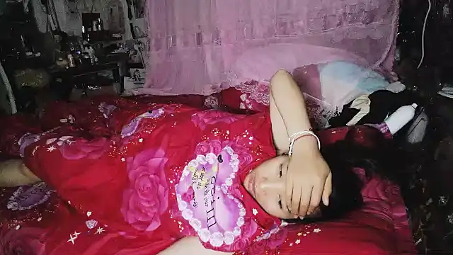hebe-02 webcam