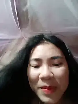 Nul_chal webcam