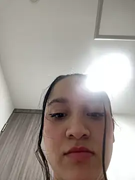 Ari-New webcam