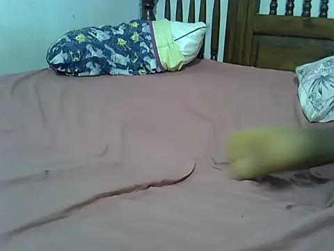 black_appl webcam