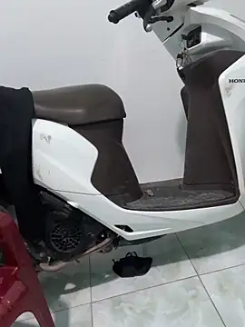 Nana-19 webcam