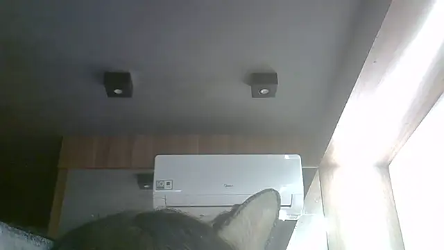 SkinnyKitten webcam