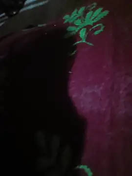 hd_bhabhi webcam