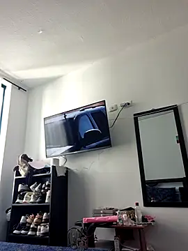IrisBound webcam