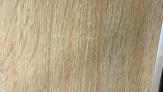 NoFace_Model webcam