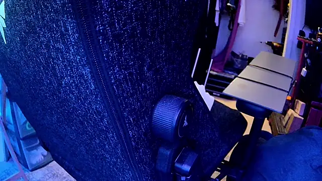 famousALYX webcam