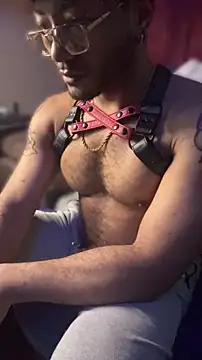 KY_Sir35 webcam
