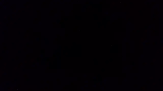 pinkycat webcam