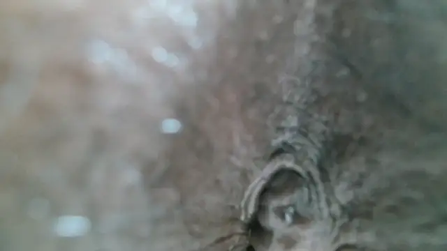 K3ndal1_ webcam