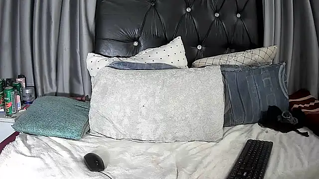 BaselBlues webcam