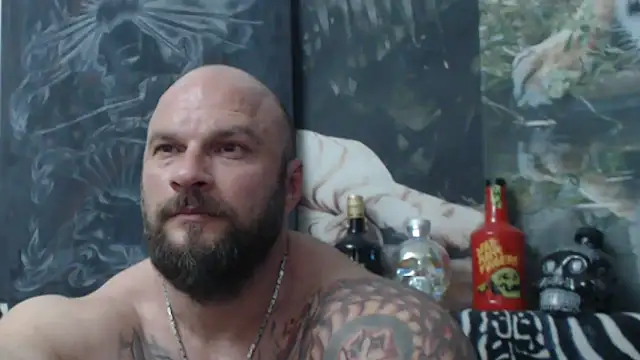 viking_30 webcam