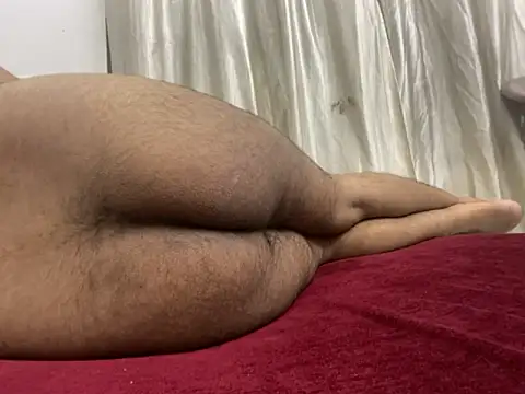 frhyd webcam