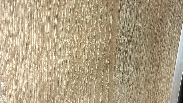 NoFace_Model webcam